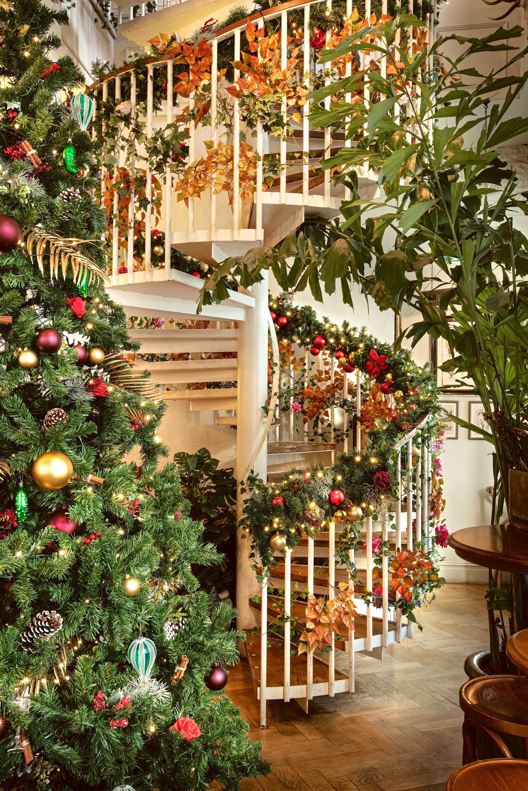 Christmas Lunch Mr Fogg #39 s Taverns Central London